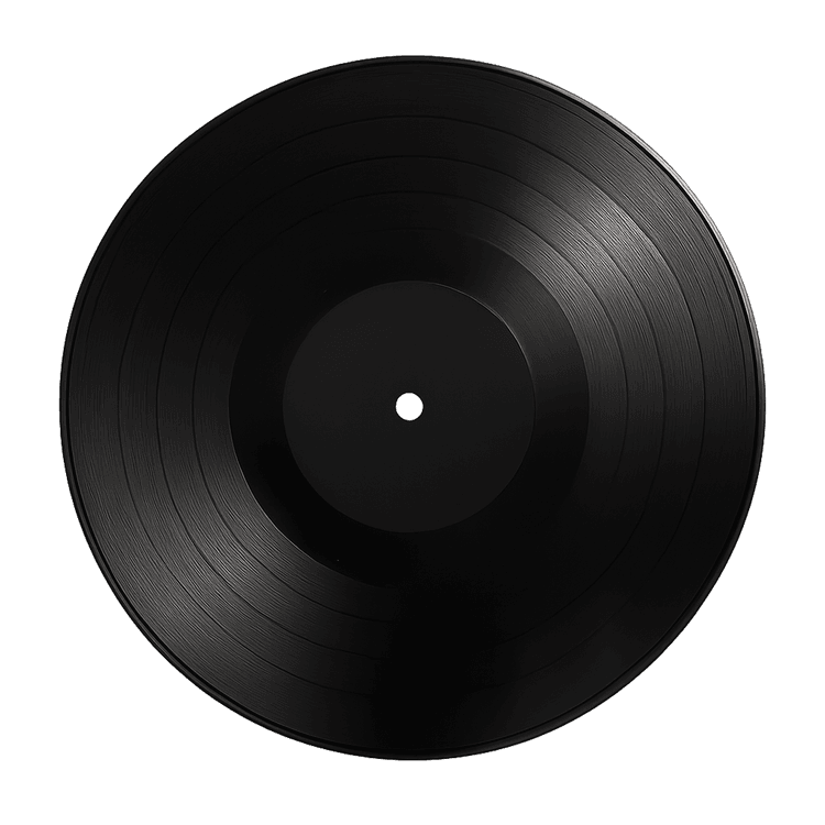 Vinyl record